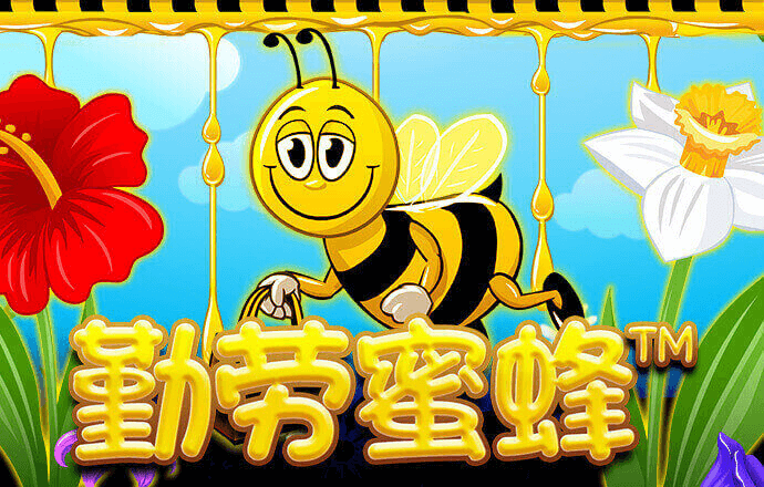 2024新澳门下载和安装